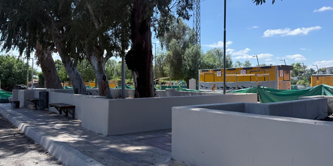 Alberdi se transforma: El nuevo paseo gastronómico entra en su recta final