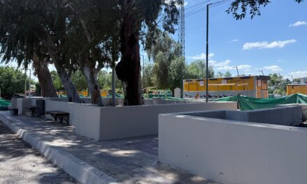 Alberdi se transforma: El nuevo paseo gastronómico entra en su recta final