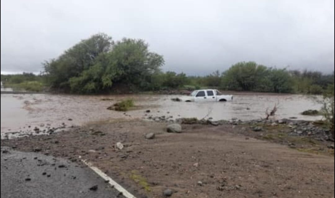 Tormentas: Más de 400 familias asistidas y suspenden colonias en zonas afectadas
