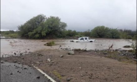 Tormentas: Más de 400 familias asistidas y suspenden colonias en zonas afectadas