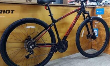 Intentó robar una bicicleta en plena calle y terminó detenido tras una persecución