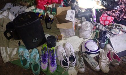 Albardón: Dos detenidos tras robar una vivienda y abandonar los efectos en la huida