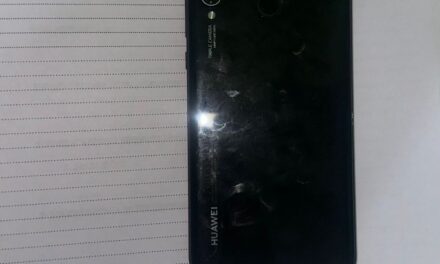 Rivadavia: Detuvieron a dos hermanos tras el robo de un celular