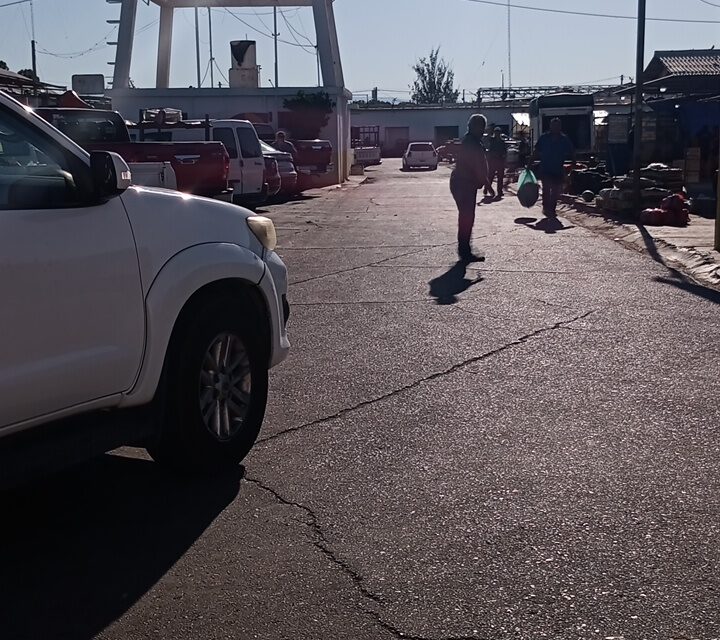 La feria, ese ritual sanjuanino que empieza temprano y termina con la bolsa llena