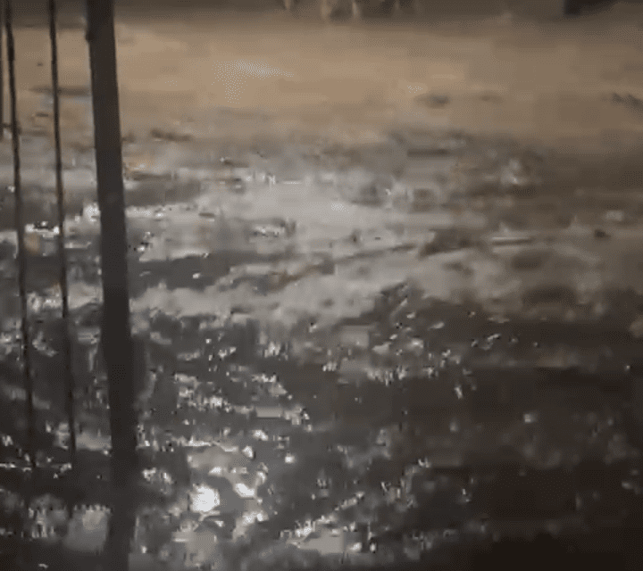 Corte total en Ruta 40 Norte por creciente: Tránsito interrumpido en Villicum