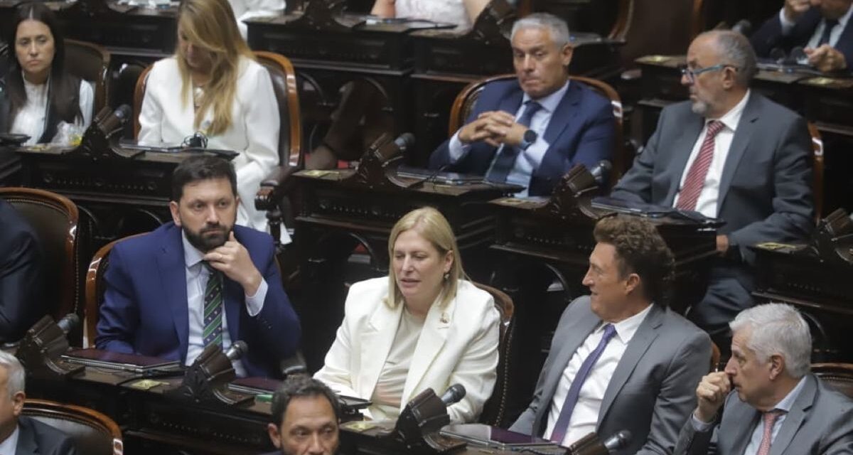 Diputados reclaman la conformación de comisiones para debatir el decreto en el Congreso