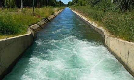 “Los canales no son balnearios”: fuerte advertencia de Hidráulica por los riesgos y las muertes evitables