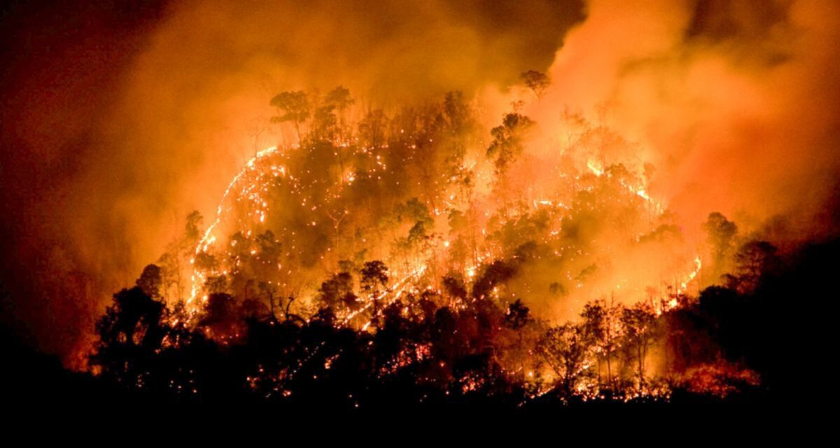 15 muertos y 50.000 evacuados por el avance del fuego en el sur del país