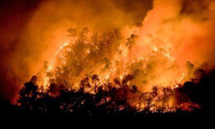 15 muertos y 50.000 evacuados por el avance del fuego en el sur del país
