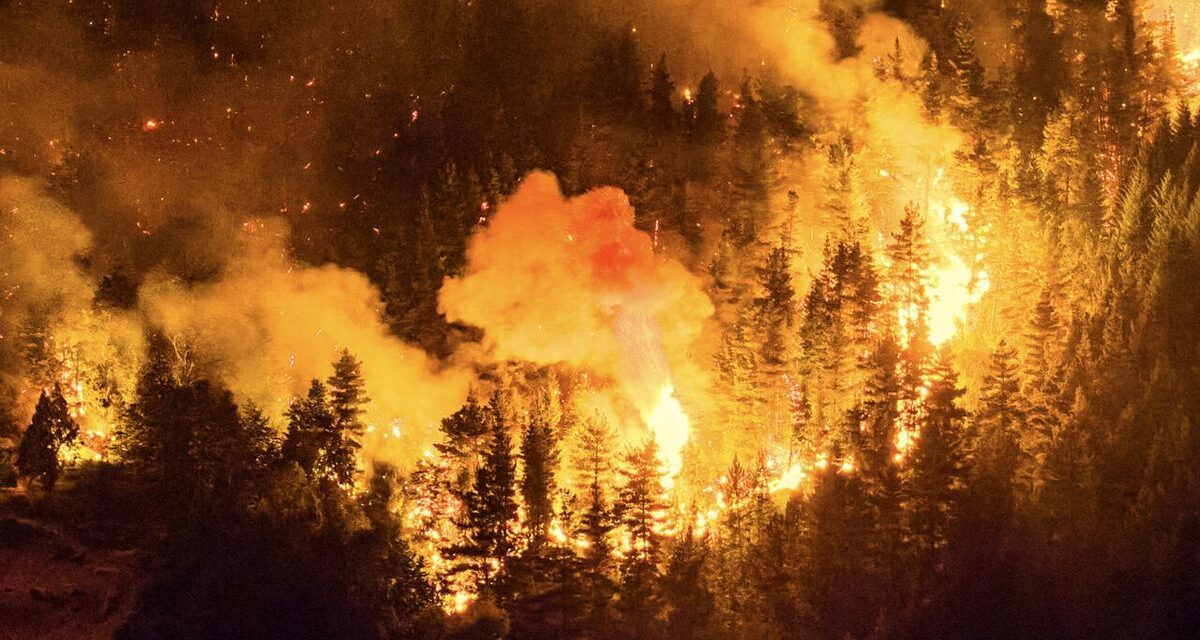 Diputados presentaron un proyecto para declarar la emergencia en la zona patagónica afectada por incendios forestales