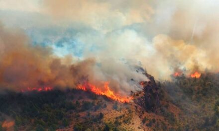 El Gobierno confirmó el envío de casi 300 brigadistas y refuerzos para combatir los incendios forestales