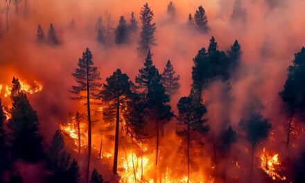 La motosierra de Javier Milei también alcanzó al Servicio Nacional de Manejo del Fuego