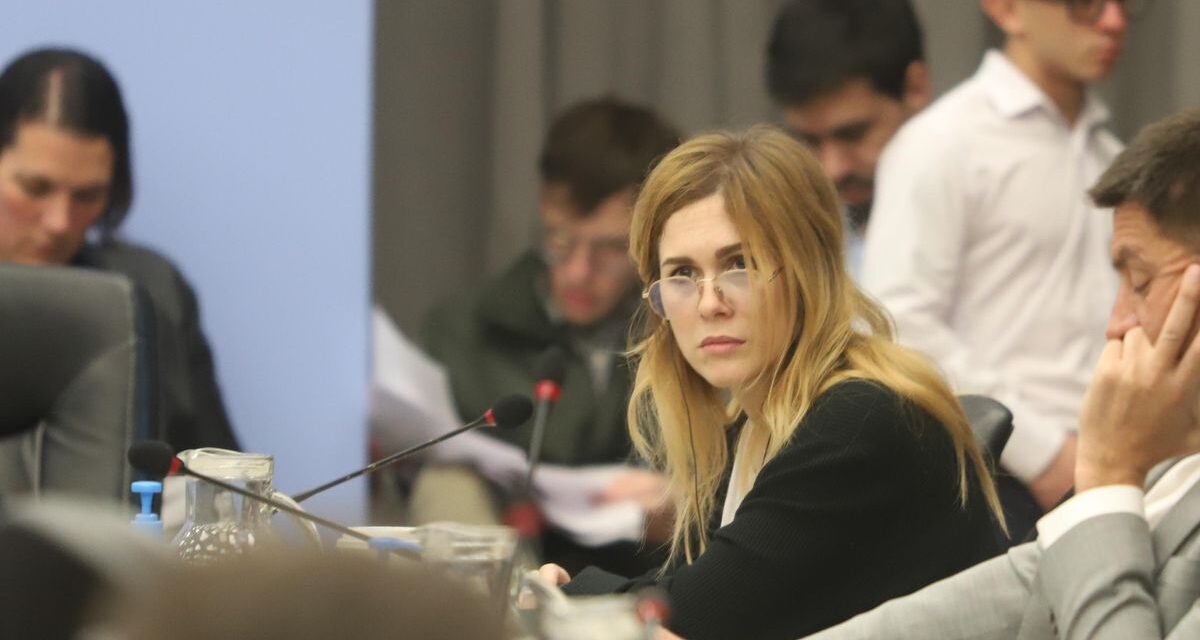 Atacaron a piedrazos la casa de Lilia Lemoine: hay un detenido