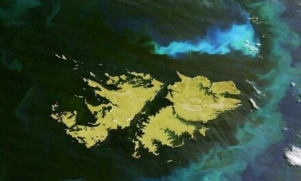 A 60 años del Comunicado Zavala Ortiz–Stewart, la Argentina reiteró su pedido de diálogo por Malvinas