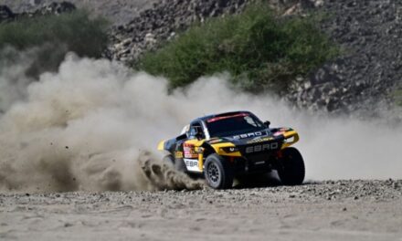Todos los argentinos que participan del Rally Dakar 2026