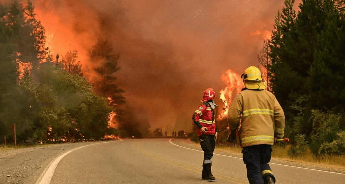 Piden una ley de Ecocidio por los incendios en Chubut: de qué se trata