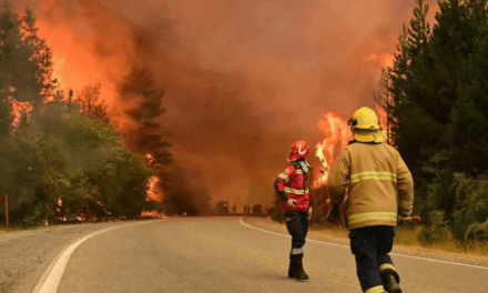 Piden una ley de Ecocidio por los incendios en Chubut: de qué se trata