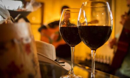 ¡Vive el verano en la Ruta del Vino! 