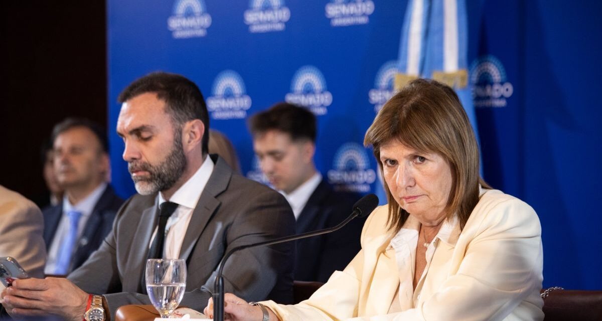 Patricia Bullrich calificó de ridículo el paro en el fútbol por la causa que involucra a la AFA