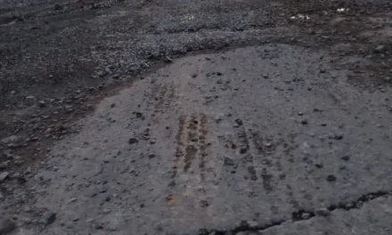 Alerta vial: Hay caminos intransitables y sectores con riesgo por agua y arrastre