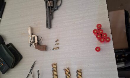 Allanamiento en Rivadavia: Secuestraron armas, municiones y plantas de marihuana