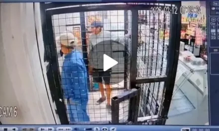 Con frondoso prontuario, terminó preso por robarle a su tía