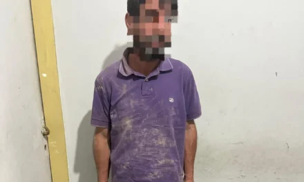 Trepó el cierre y cayó adentro: Frustraron un intento de robo en Cerámica San Lorenzo