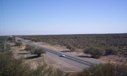 Corte nocturno preventivo en la Ruta Nacional 141 por razones de seguridad vial