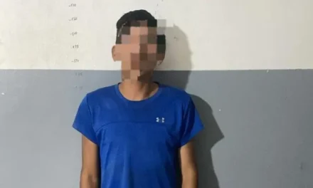 Intentó robar en una obra en construcción y terminó detenido en Santa Lucía