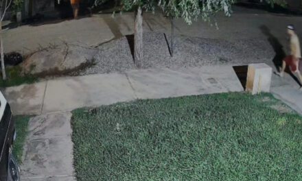 Violencia sin freno: Mirá el video de las casas apedreadas en Chacras de Cuyo, Rawson