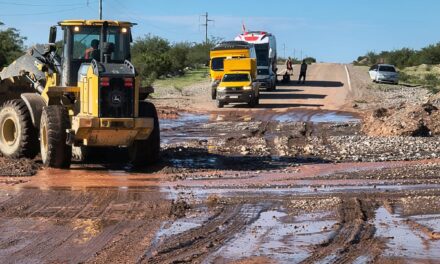 Refuerzan tareas de mantenimiento en la Ruta 40 Norte, en el tramo Huaco–La Rioja
