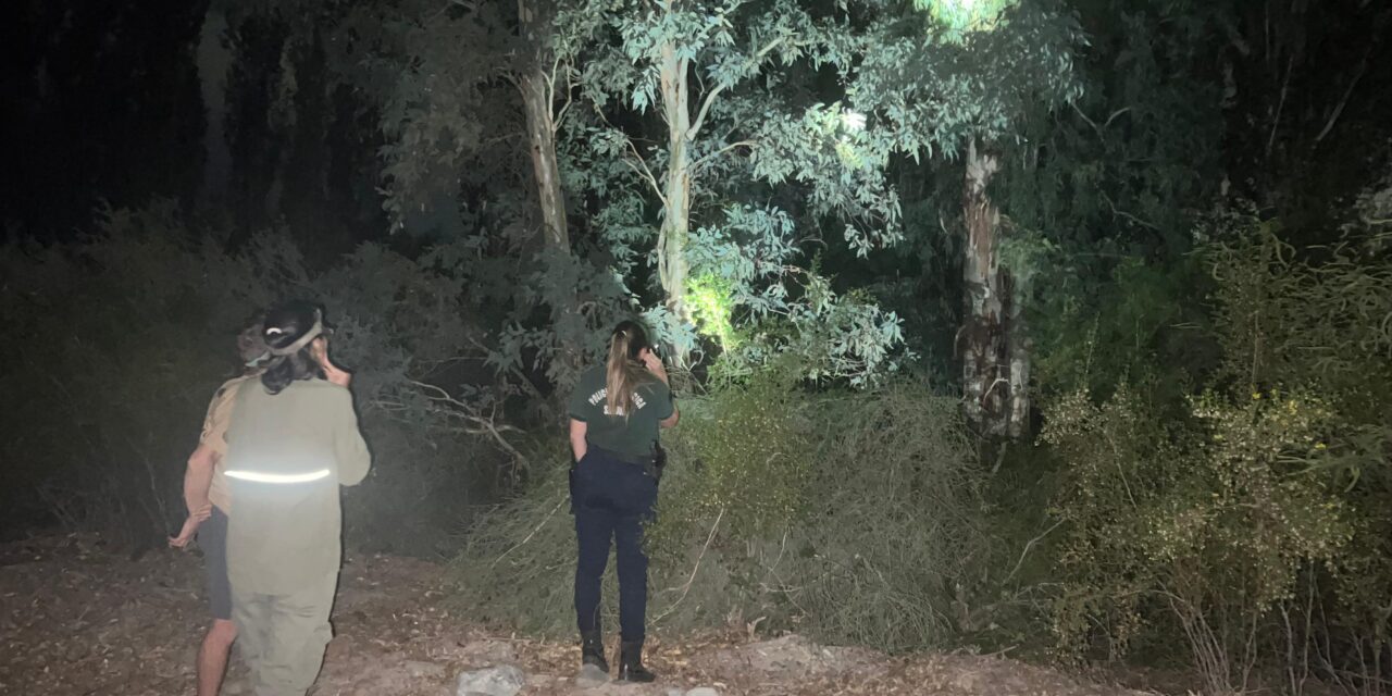 Puma en el camping del Cerro Blanco: Así fue el operativo