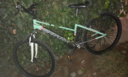 Arrojaron la bicicleta y escaparon, pero terminaron detenidos en Chimbas