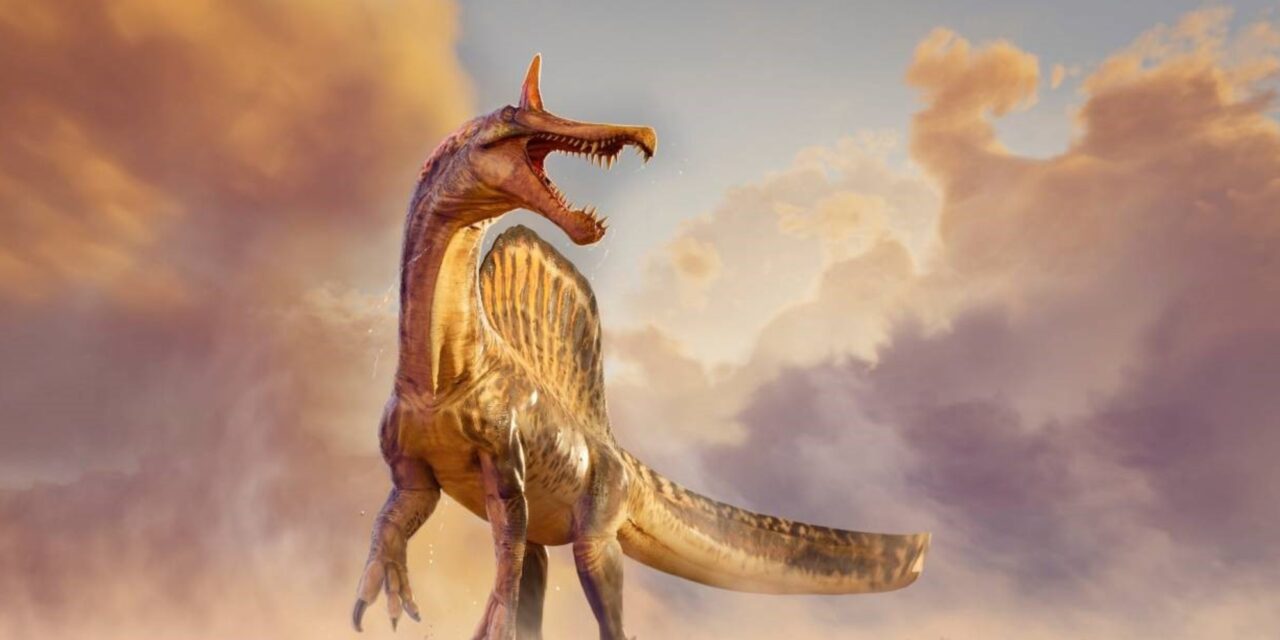 Hallan en el Sahara una nueva especie de dinosaurio con una cresta en forma de sable que se creía que habitaba cerca del agua