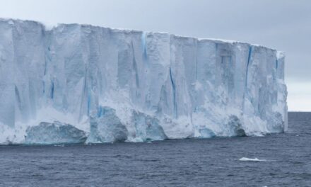 Científicos desarrollaron una IA que rastrea la trayectoria y evolución de los icebergs
