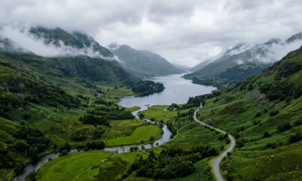 Más velocidad, nuevas plantillas y marcas de verificación