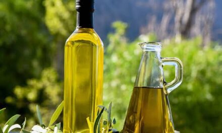 Aceite de oliva en alerta: El Gobierno advierte riesgos por el acuerdo Mercosur–Unión Europea