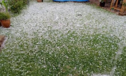 El Gobierno prepara asistencia financiera para productores afectados por las tormentas