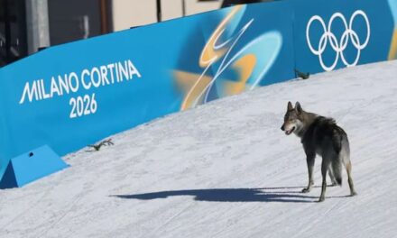 Milán-Cortina 2026: las 5 curiosidades que marcaron el pulso de los Juegos Olímpicos de Invierno
