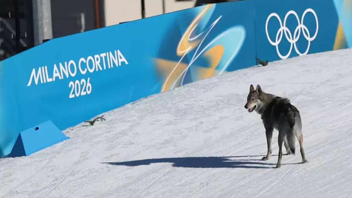 Milán-Cortina 2026: las 5 curiosidades que marcaron el pulso de los Juegos Olímpicos de Invierno