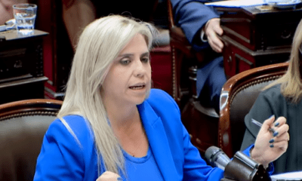 “Los chicos hoy entienden la criminalidad de sus actos”: La Diputada Nancy Picón defendió la baja de la edad de imputabilidad
