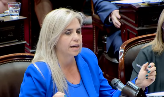 “Los chicos hoy entienden la criminalidad de sus actos”: La Diputada Nancy Picón defendió la baja de la edad de imputabilidad
