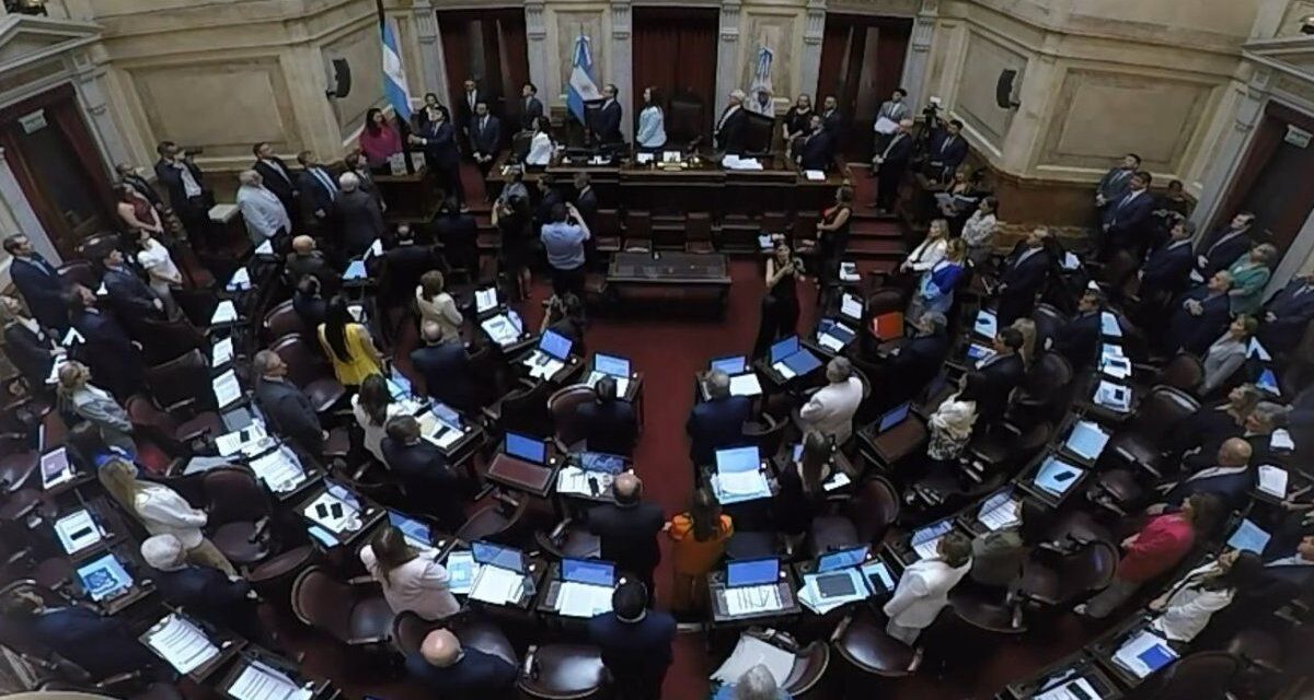 Patricia Bullrich confirmó que el proyecto llega al Senado con 28 modificaciones