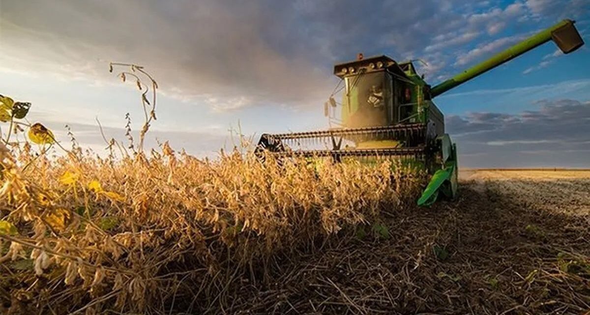 Cámaras agroexportadoras celebraron la media sanción de la reforma Laboral