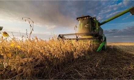 Cámaras agroexportadoras celebraron la media sanción de la reforma Laboral