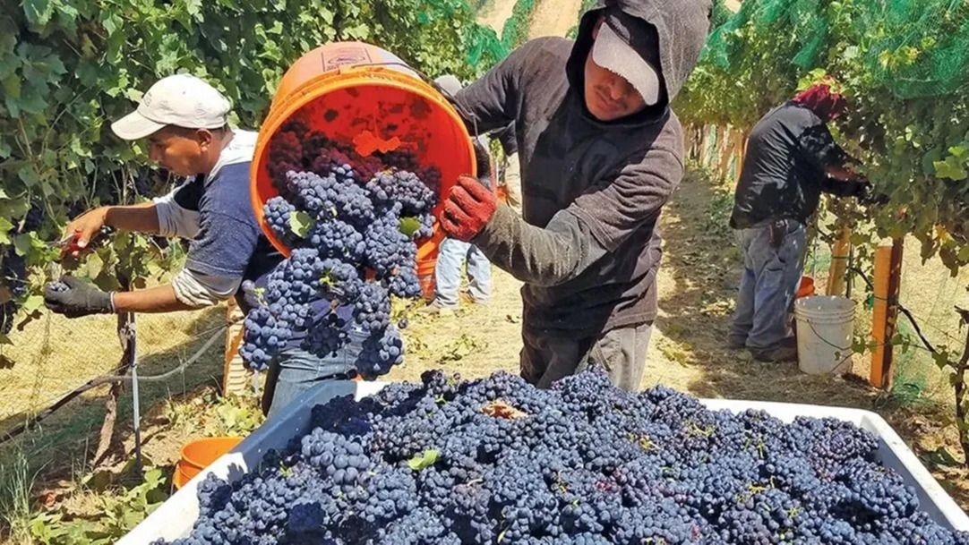 Samper advirtió que el acuerdo Mercosur–Unión Europea podría complicar al vino argentino en Brasil