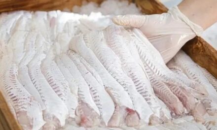 Controles reforzados por Semana Santa: Intensifican operativos en la venta de pescado en toda la provincia