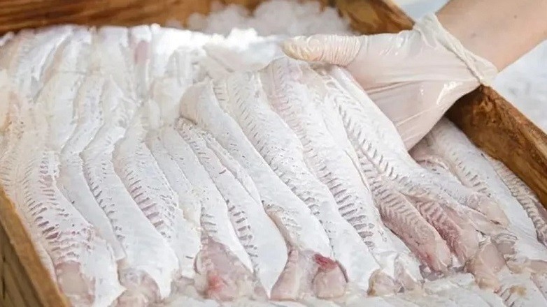 Controles reforzados por Semana Santa: Intensifican operativos en la venta de pescado en toda la provincia