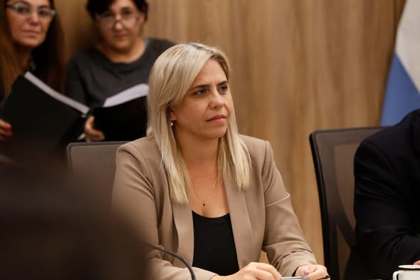 Fuerte participación en el debate federal: La minería se impone sobre la agenda ambiental