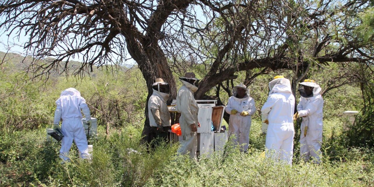 Después de 54 años, arrancó el primer estudio integral del Área Natural Protegida Valle Fértil